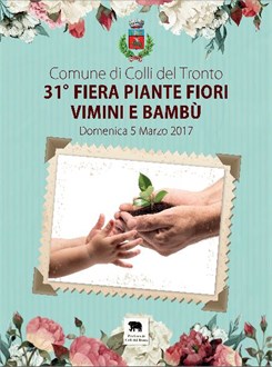 PIANTE, FIORI, VIMINI E BAMBÚ